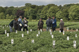 Seed Potato Inspectors Course - potato inspectors in the plots.