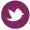 Find us on Twitter