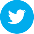 Twitter Logo