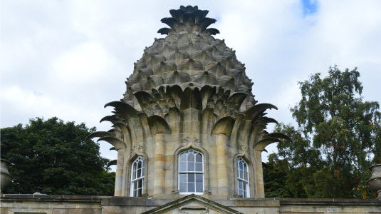 Copyright C. Mackinnon